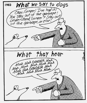 ginger.jpg.gif