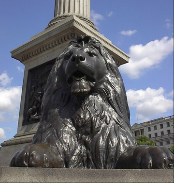 lion.jpg