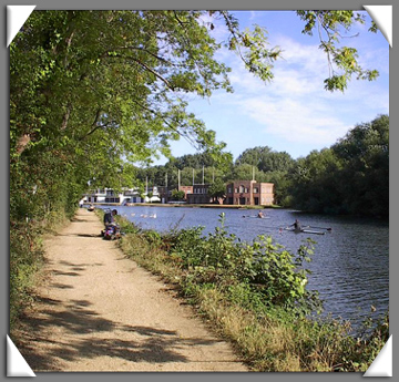 sculls.jpg